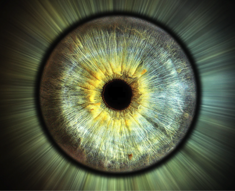 POLYSTON 8 - Obrazok